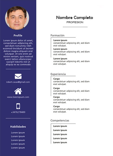 plantilla currículum auditor interno